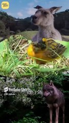 आप कौन हैं? || आचार्य प्रशांत