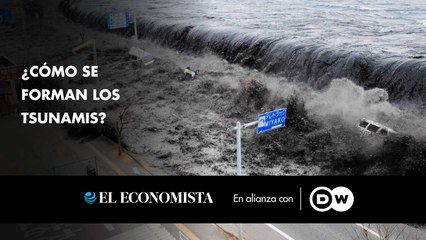 ¿Cómo se Forman los Tsunamis? Todo lo que Debes Saber 🌊