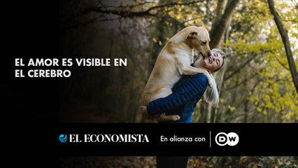 El amor en el cerebro: Cómo la ciencia lo revela con escáneres