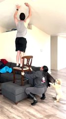 Playful Puppy Tugs at Woman's Hair While She Steadies Chair For Her Partner