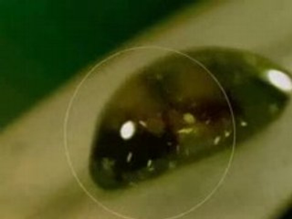 Makro Alemden Mikro Aleme Yolculuk