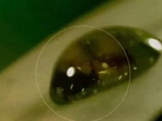 Makro Alemden Mikro Aleme Yolculuk