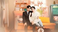 Sir, You Got the Wrong Wife  (Chinese Drama English Subtitles )  Snackshort