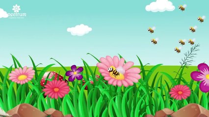 Ik chirya boli choo choo choo