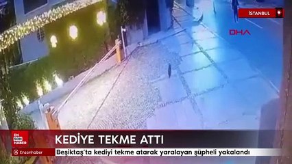 Beşiktaş’ta kediyi tekme atarak yaralayan şüpheli yakalandı