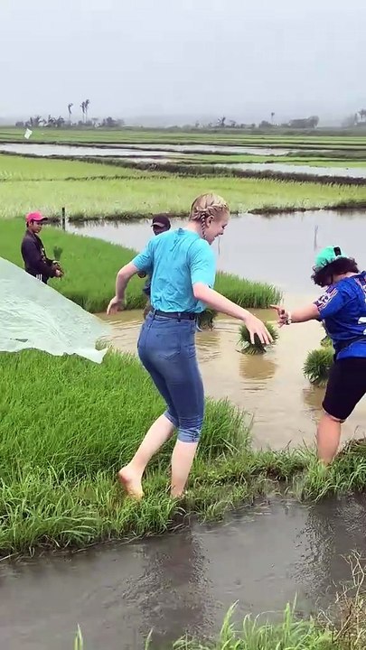 When was the first time I planted rice?