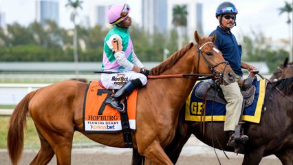 Race Analysis: Key Horses and Strategies For Winning