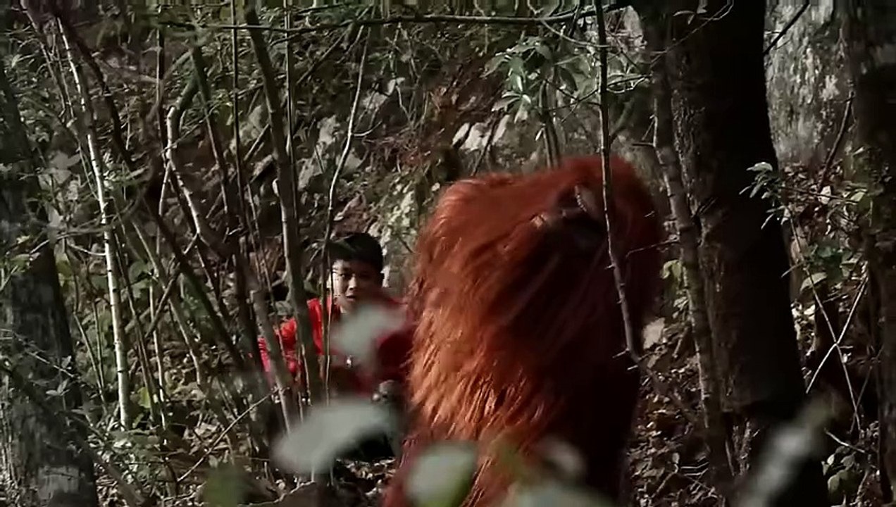 Survival With a Mysterious Creature In The Wild Jungles   Action, Adventures movies in English