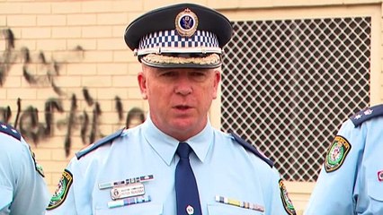 Allawah synagogue in southern Sydney vandalised with swastikas