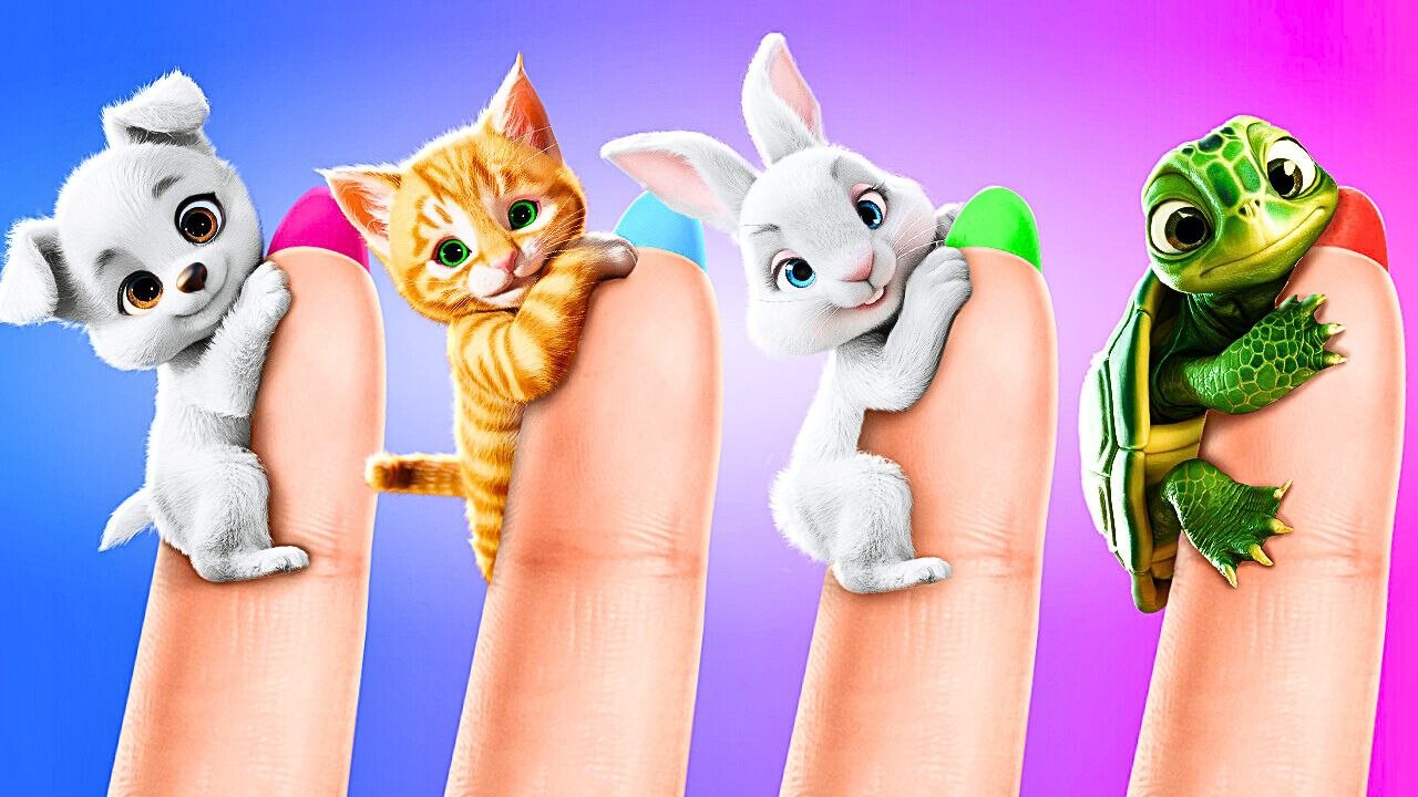 J'ai créé un zoo secret dans ma chambre ! Astuces INCONTOURNABLES pour les propriétaires d'animaux