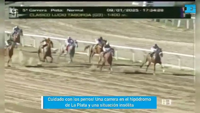 ¡Cuidado con los perros! Una situación insólita durante una carrera en el Hipódromo de La Plata