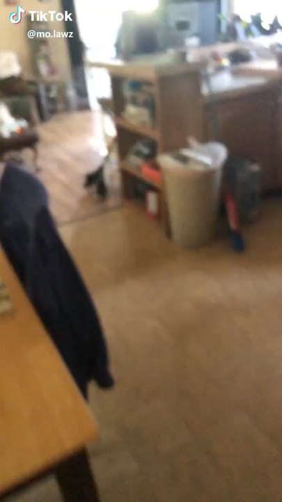 Funny video compliation 😭🤣