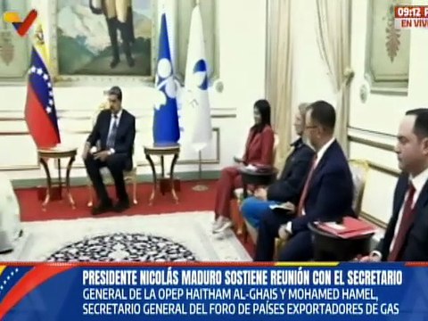 Jefe de Estado sostiene reunión con el Secretario General de la OPEP Haitham Al-Ghais