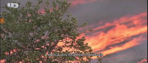 INVESTIGAÇÃO DISCOVERY  -  CABANA NO BOSQUE    (T1 EPISÓDIO 4)
