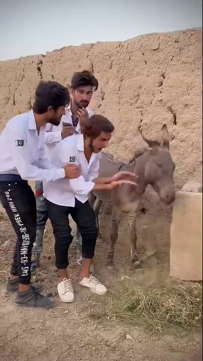 Billu_dgk_funny_tiktok_#shorts_#tiktok_#billudgk(720p)