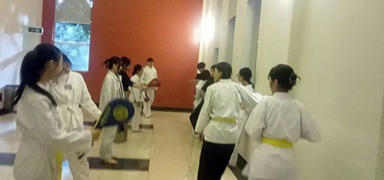 Taekwondo, tkd 20250106_191425