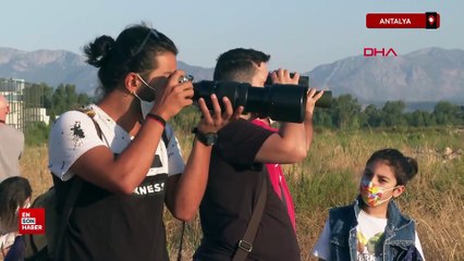 Türkiye'nin kuşları; 497 tür yaşıyor