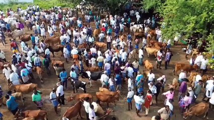 Farmers are happy with two crore business in cattle market