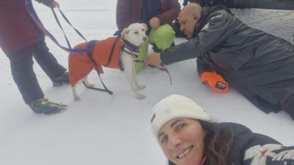 Ritrovata sana e salva Kate, la cagnolina scomparsa all'Abetone