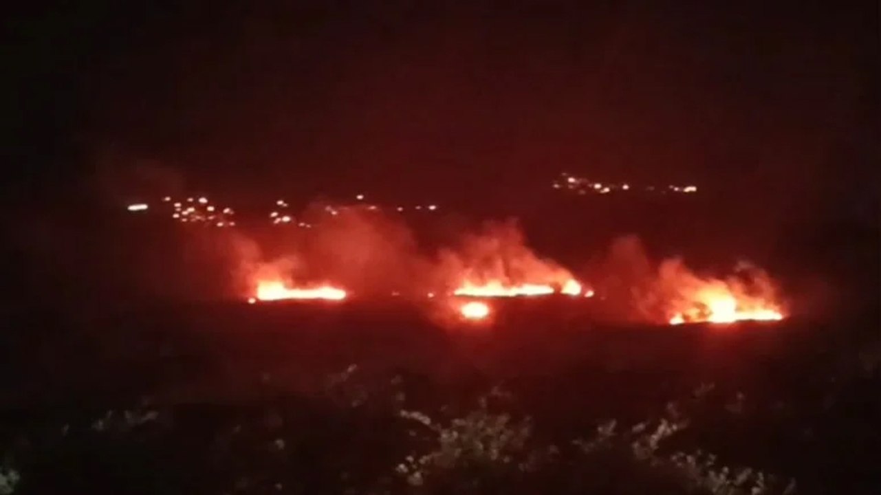 Hatay'da yangın paniği! Alevler sazlığı küle çevirdi