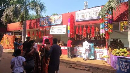 Durgapuja 2024: Celebrating at CR Park Kalibari, New Delhi
