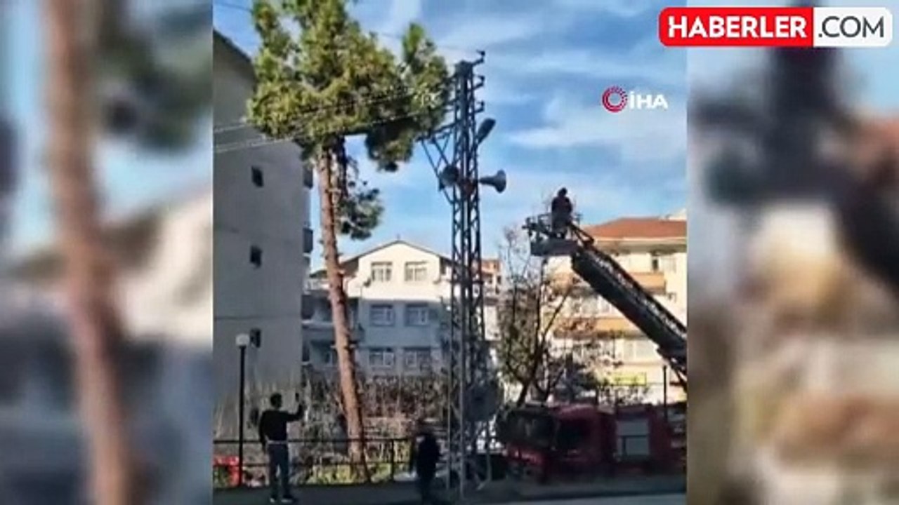 Alaplı'da Ağaçta Mahsur Kalan Kedi İtfaiye Ekipleri Tarafından Kurtarıldı
