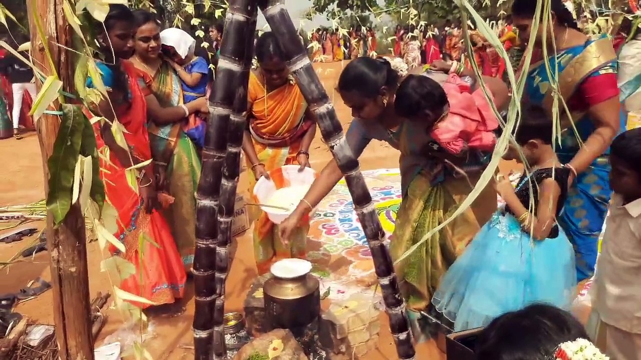 College pongal celebration