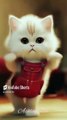 #viralcat #catdamce #short #aicat #animal #youtube  @ashley126