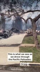 Laeticia Hallyday, Instagram