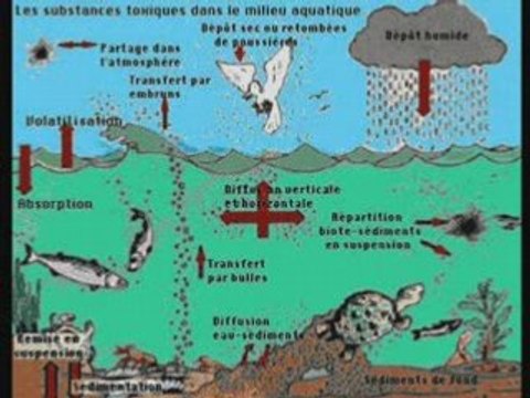 Aux arbres citoyens version LEAD