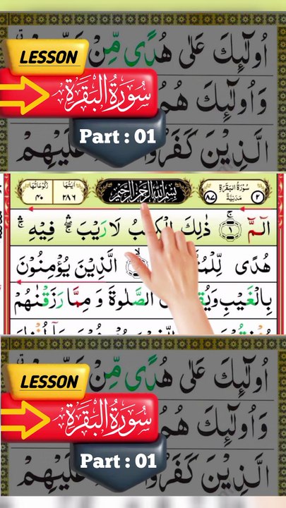 surah Baqarah ki tilawat 1 create #shorts #viralvideo #shortsvideo #shortfeed #NatureInspiredByQuran #bird #Shorts #Trending #Viral #ForYou #FYP #ComedyShorts #DailyDose #LifeHacks #FashionShorts #FoodShorts#NatureInQuran #QuranicNature #DivineCreation #N