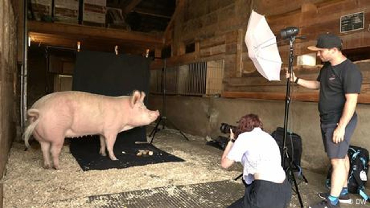 Fotos für einen besseren Umgang mit Tieren