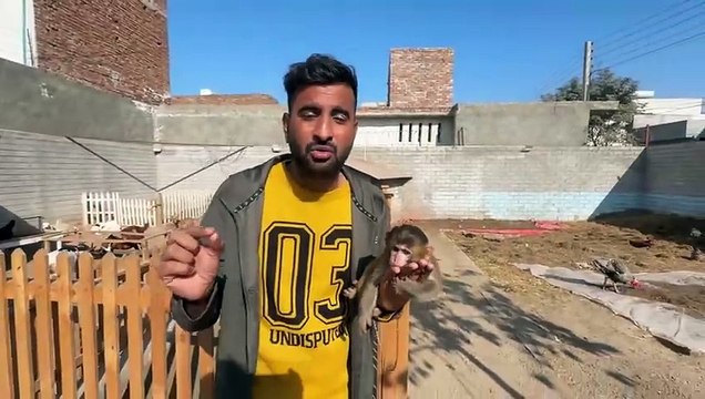 shehar mein dehat ep 127 2025 animal mini zoo New Monkey Acha Hai Ya Jugoo_