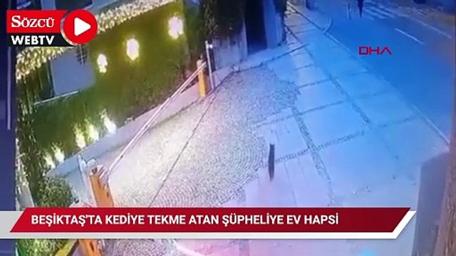 Beşiktaş’ta kediyi tekme atan şüpheliye ev hapsi