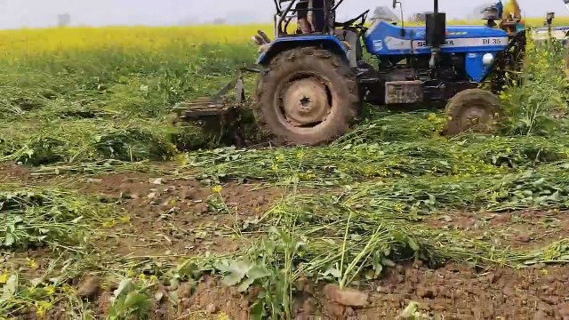 चारागाह भूमि पर प्रशासन का चला पीला पंजा, 72 बीघा जमीन पर भूमाफिया कर रहे थे खेती, सरकारी जमीन को अतिक्रमण से कराया मुक्त