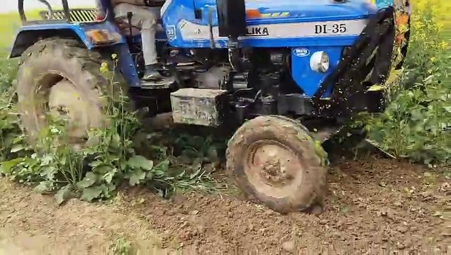 चारागाह भूमि पर प्रशासन का चला पीला पंजा, 72 बीघा जमीन पर भूमाफिया कर रहे थे खेती, सरकारी जमीन को अतिक्रमण से कराया मुक्त