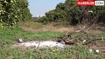 Adana'da 2 Çocuk Anneli Kadın Sevgilisi Tarafından Katledildi