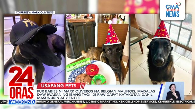 Fur babies ni Mark Oliveros na Belgian Malinois, madalas daw iwasan ng ibang tao; 'di raw dapat katakutan dahil masunurin at gentle | 24 Oras Weekend