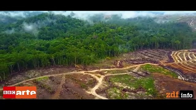 Seven Continents one Earth Trailer