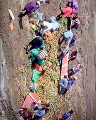 Así quedó el camión con frutas que volcó al precipicio