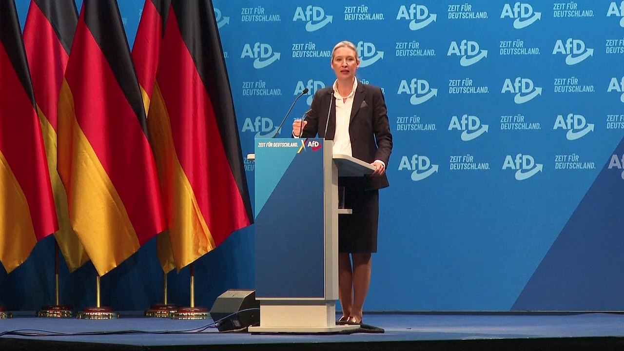 AfD: Weidel für radikalen Politik-Wechsel inklusive "Remigration"