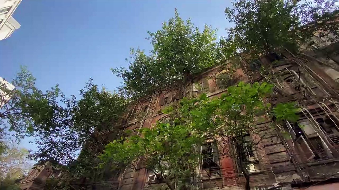 15 Best Places to Visit in India