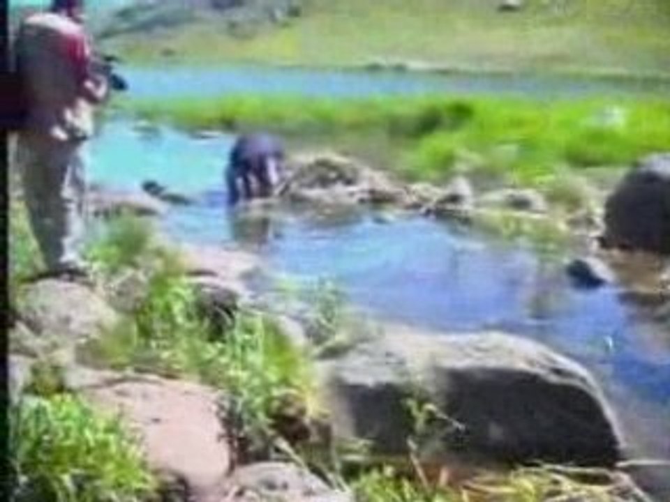 Varto/Gimgim (2.Bölüm) “Varto mala xwadêye...“