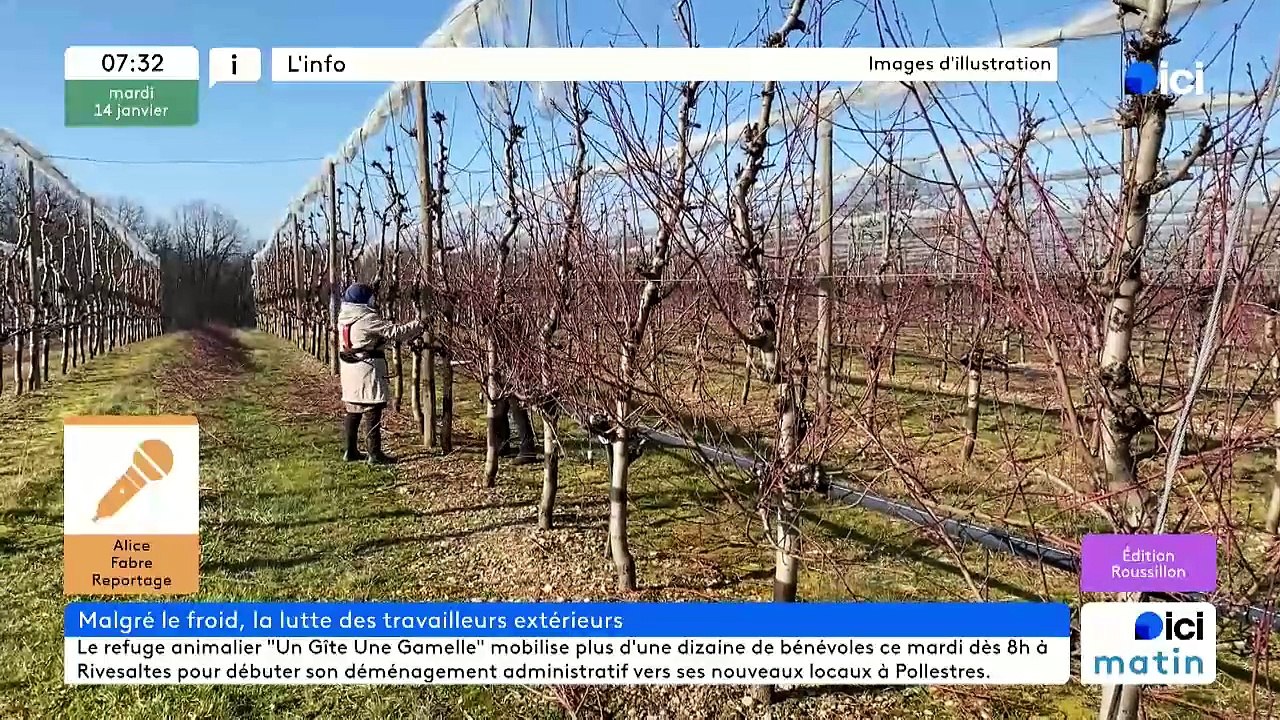 14/01/2025 - ici matin par ici Roussillon en vidéo