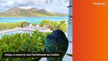Paul Belmondo s'évade dans ce paradis hérité de son père : plage paradisiaque et nature luxuriante au programme