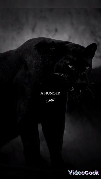 في_كل_عائله_في_شخص_يطلقون_عليه...(720p)