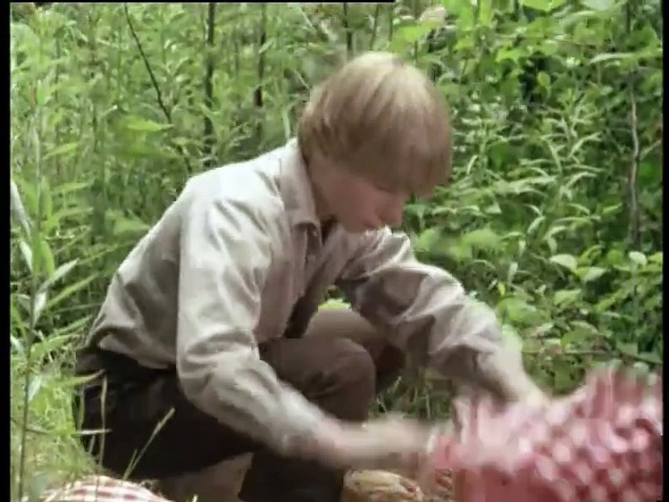 Huckleberry Finn and his Friends (1979)  E10 - Huck Is a Hero