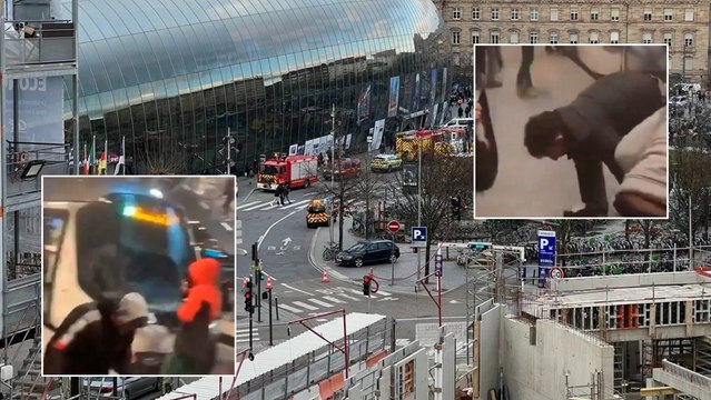 Francia: Choque de trenes deja decenas de heridos en Estrasburgo