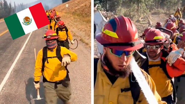 México manda ayuda humanitaria a Estados Unidos por incendios en Los Ángeles, California