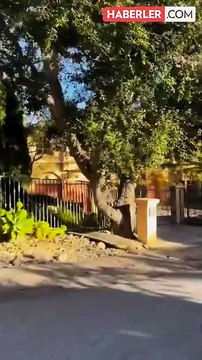 ABD'deki yangında ünlülerin zarar gören lüks evlerinin fiyatları ortaya çıktı